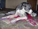 CLICK HERE for larger picture of Mozart painting