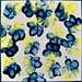Paw Blossoms Tile Series