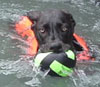 Donny in hydrotherapy pool